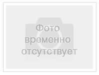 Брошюра А4 на скрепке